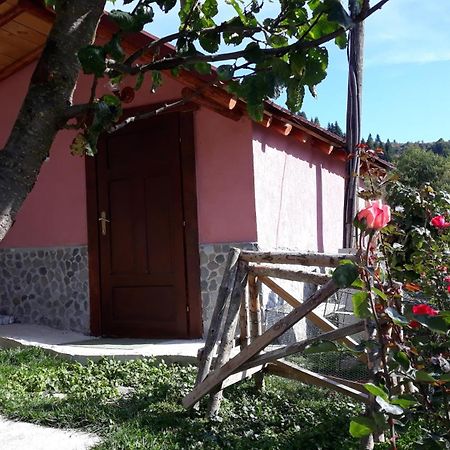 Villa Vrbena Exterior foto