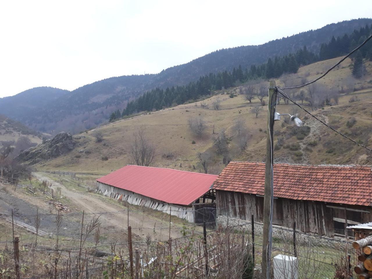 Villa Vrbena Exterior foto